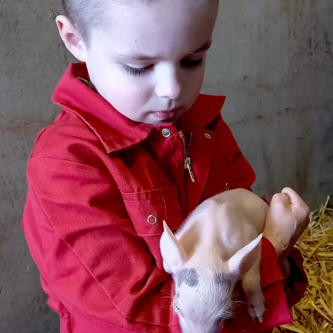 IMG_20230331_221931_042